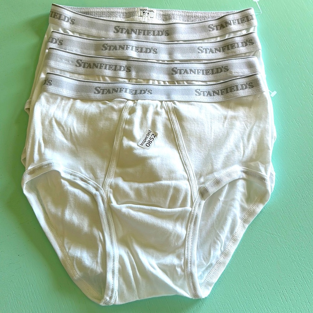 BNWT Stanfield’s mens white underwear  Y-front brief